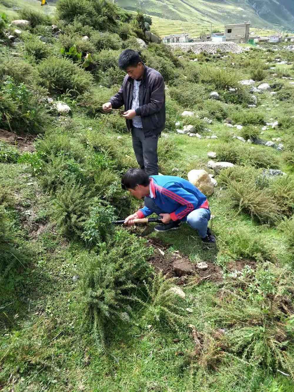 1548034794927731.jpg 微信圖片_20181105104020.jpg