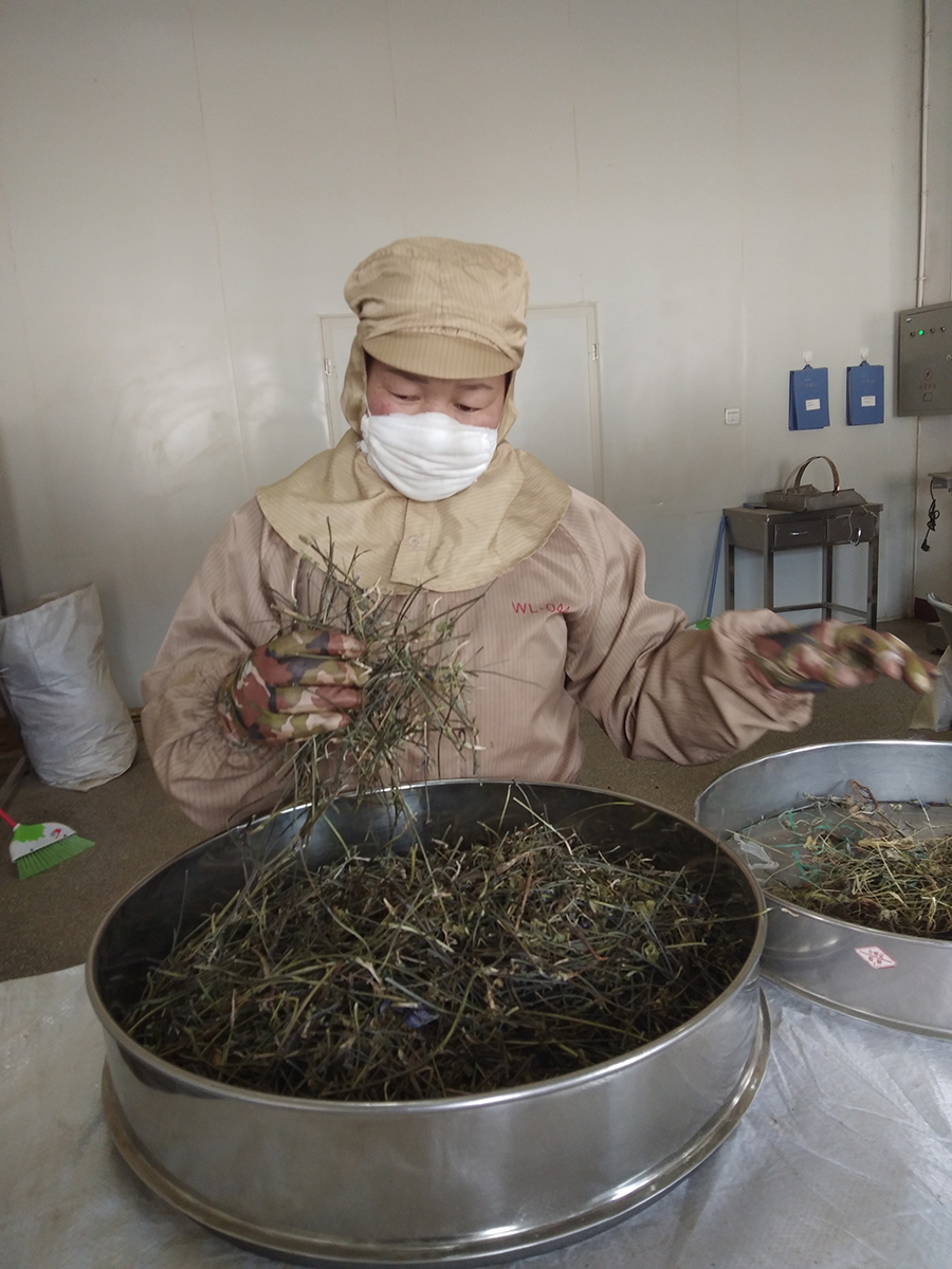 1554953623460562.jpg 前處理 洛桑曲珍.jpg