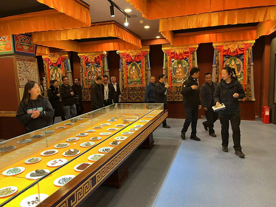 1685353391718259.jpg P2.jpg