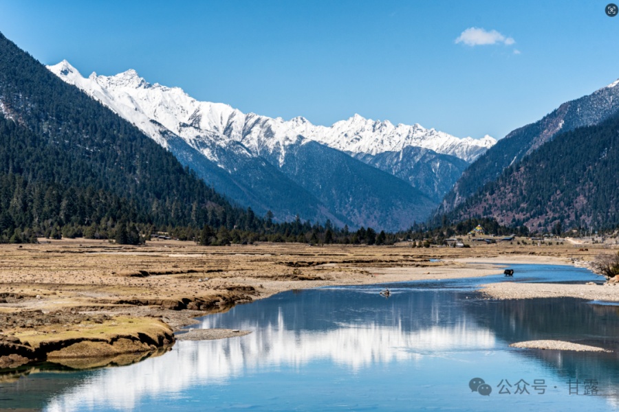 1771897198294212.jpg 640 (9).jpg