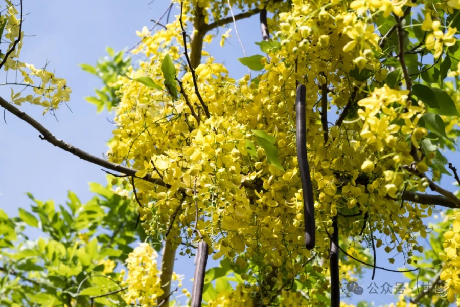 1771897212973191.jpg 640.jpg