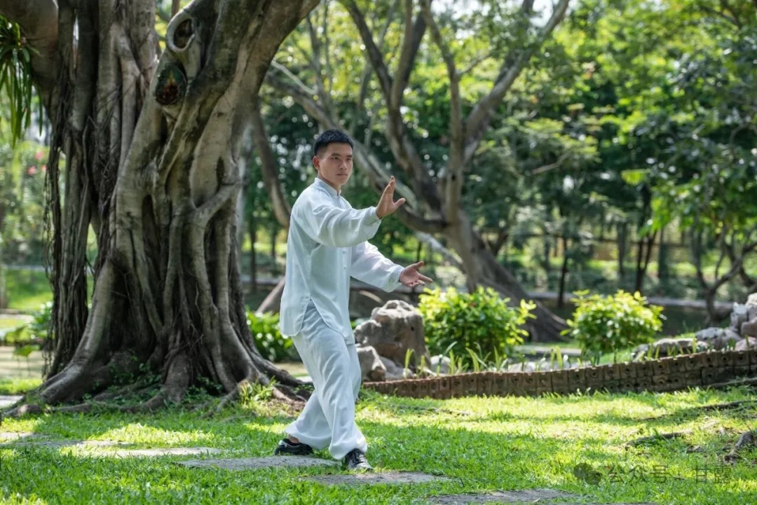 1772417990974626.jpg 640 (8).jpg